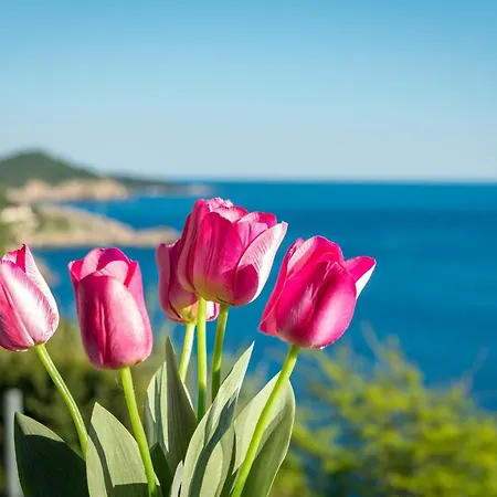 Butterfly - One Bedroom With Sea View Dubrovnik